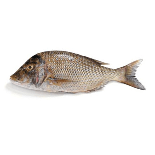 Fresh Emperor Fish Mulla Fish for online Seafood Delivery in Pakistan 1 1