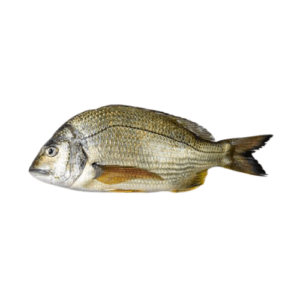 Fresh Goldline Bream Kapartan Fish for online Seafood Delivery in Pakistan 1