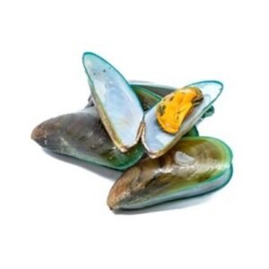 Green Mussel