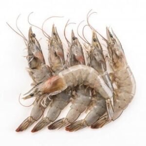 Fresh Medium prawns ready for online seafood delivery in pakistan 1