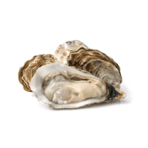 Fresh Oyster for online delivery in Pakistan 1 1