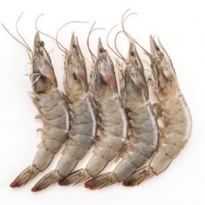 Fresh Prawns for online seafood delivery in pakistan 1