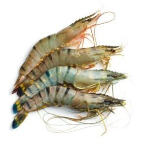 Fresh Tiger Prawns ready for online delivery 1