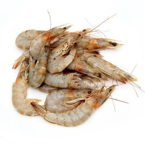 Small Prawns