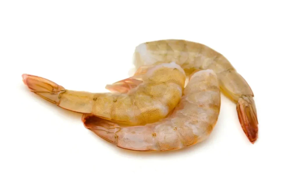 Headless Shell On HLSO 1024x664 1