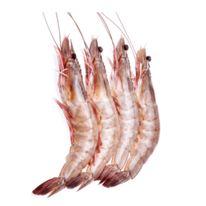 Jumbo Prawns 1