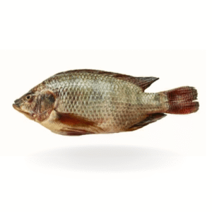 Tilpia Fish for online seafood delivery in Pakistan 1 1