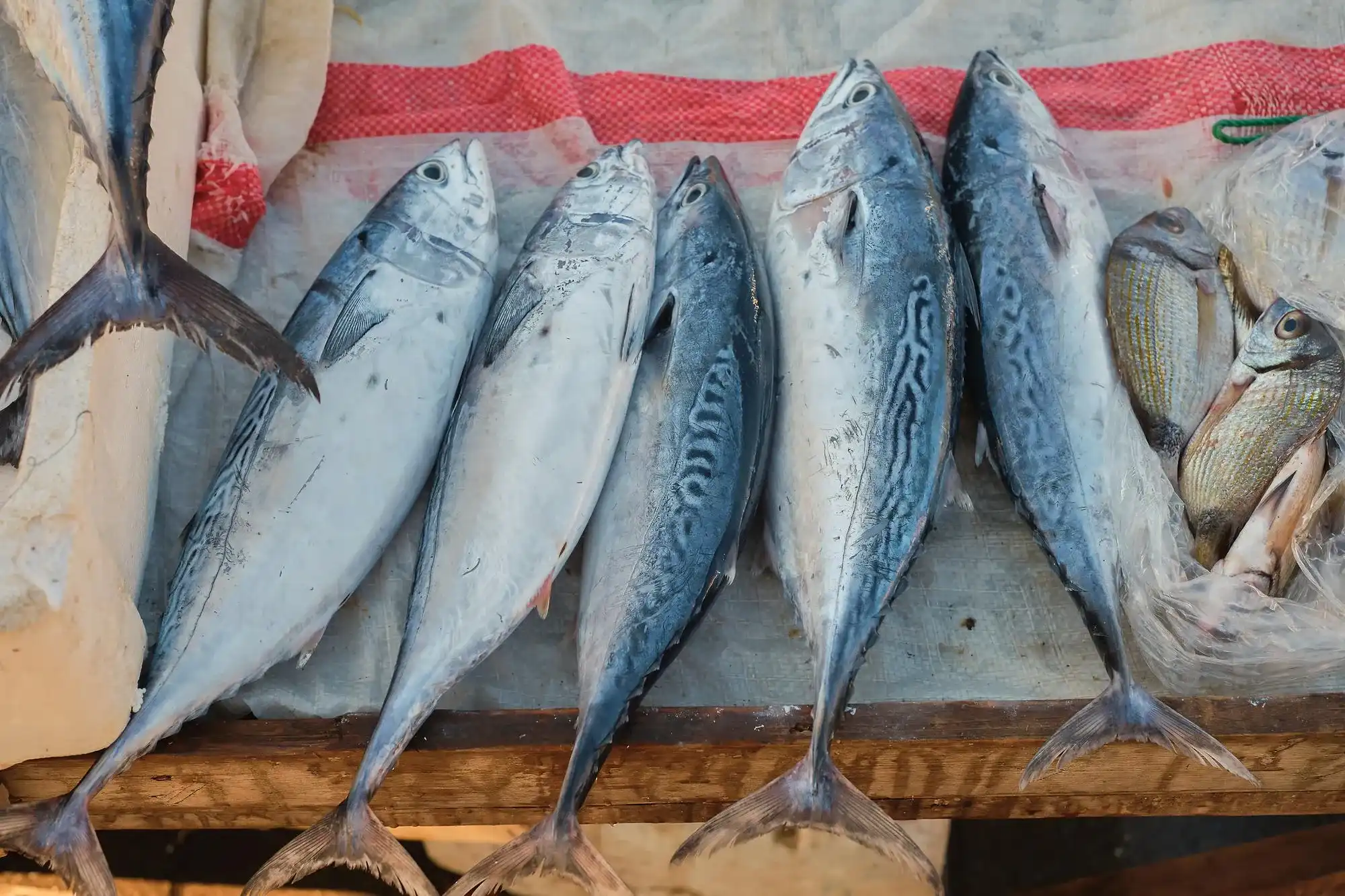 Fresh Water Fish Decent Seafood Online Fresh Seafood Delivery In Karachi Lahore Islamabad Across Pakistan.